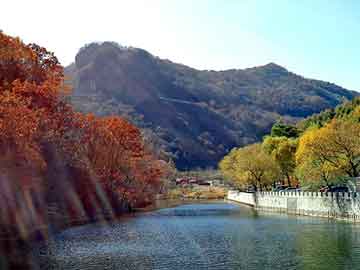 管家婆黑白马报图库，都市重生小说排行榜